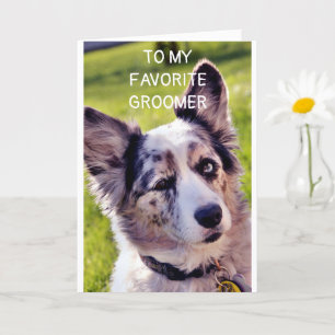 CARTE JOYEUX ANNIVERSAIRE **GROUPE DE CHIENS FAVORIS**