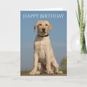Carte Joyeux Anniversaire Jaune du Labrador Retriever Pu