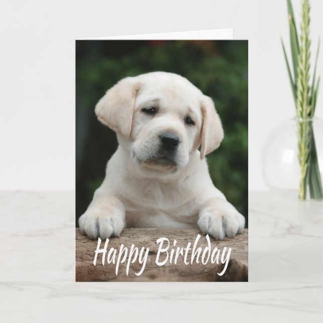 Carte Joyeux Anniversaire Jaune Labrador Retriever Chien (Devant)