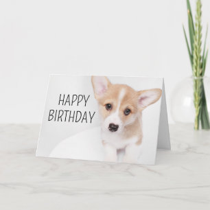 Carte Joyeux Anniversaire   Jeune chiot Corgi