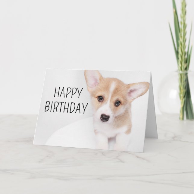 Carte Joyeux Anniversaire | Jeune chiot Corgi (Devant)