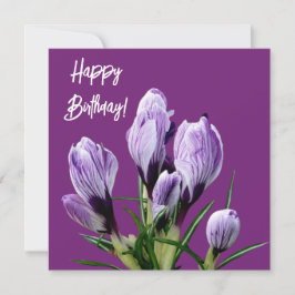 Carte Joyeux anniversaire joli crocus violet joli fleuri