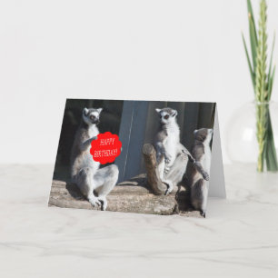 Carte Joyeux anniversaire Katta