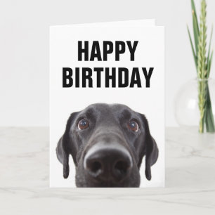 Carte Joyeux Anniversaire Labrador noir