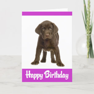 Carte Joyeux anniversaire Labrador Retriever Puppy Dog C
