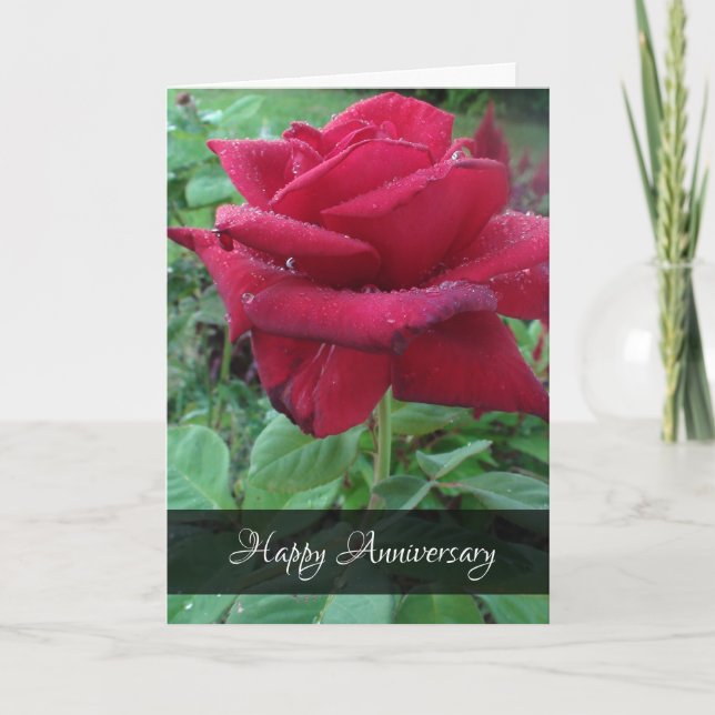 Carte Joyeux Anniversaire Love Red Rose Raindrops Card (Devant)
