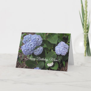 Carte Joyeux Anniversaire Maman, Plutôt Violet Hibiscus