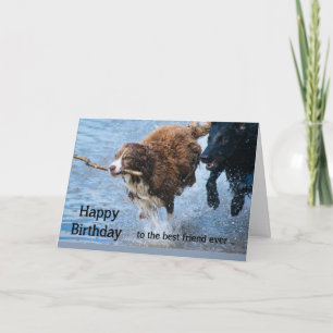 Carte Joyeux Anniversaire Meilleure Amie Amusants Vieux 