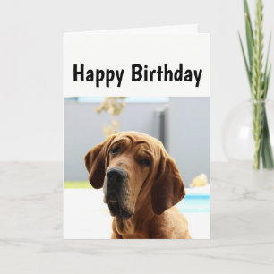Carte Joyeux anniversaire Moyen Age sur la colline Humou