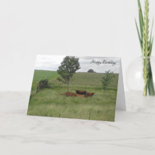 Carte Joyeux Anniversaire paisible Vaches de jour dans l