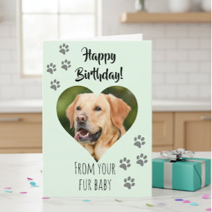 Carte Joyeux Anniversaire Photo Chien Chat Animaux de co