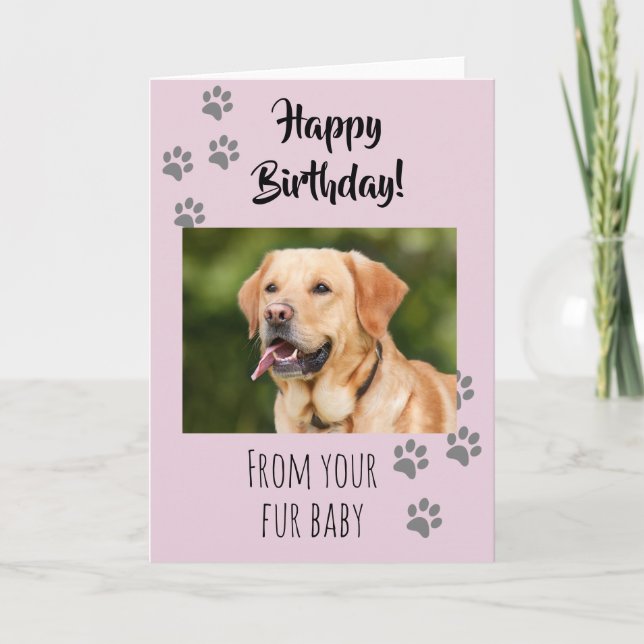 Carte Joyeux Anniversaire Photo Chien Chat Animaux de co (Devant)