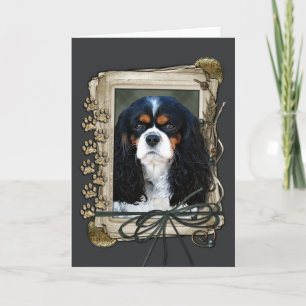Carte Joyeux Anniversaire - Pierres - Cavalier