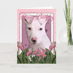 Carte Joyeux anniversaire - Pitbull - Petey