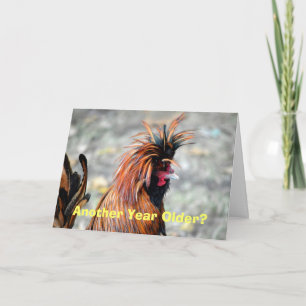Carte Joyeux Anniversaire Polonais Crested Rooster