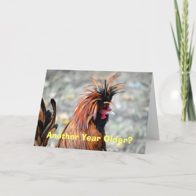 Carte Joyeux Anniversaire Polonais Crested Rooster (Devant)
