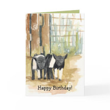 Joyeux Anniversaire Porcs Animaux de la Ferme de l