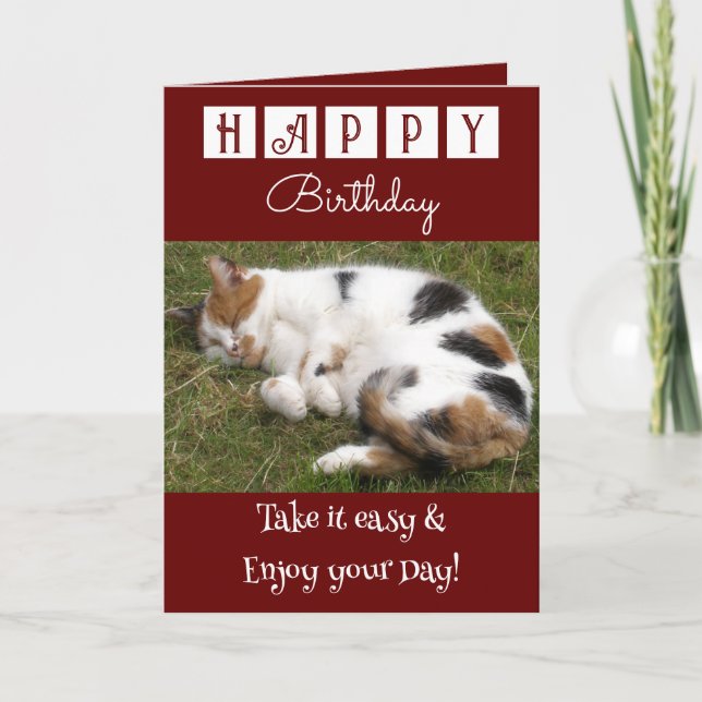 Carte Joyeux Anniversaire prenez-le facile chat photo bo (Devant)