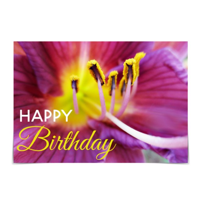 Carte "Joyeux anniversaire" Purple and Yellow Daylily Ca (Happy Birthday! This card features a purple and yellow lily.)