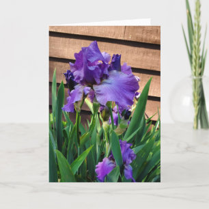 Carte Joyeux anniversaire Purple Iris