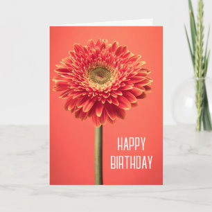 Carte Joyeux anniversaire   Red Barberton Gerbera Daisy