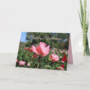 Carte Joyeux anniversaire Roses roses roses dans le jard