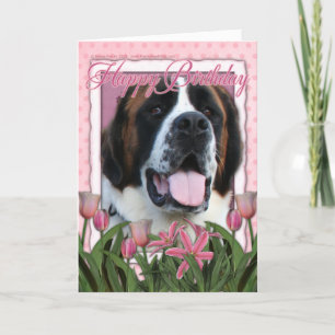 Carte Joyeux anniversaire - Saint Bernard - Mae