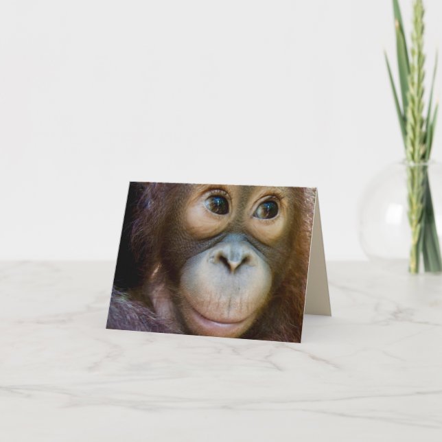 Carte Joyeux Anniversaire Singe ! (Devant)