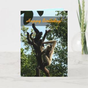 Carte Joyeux anniversaire, singe sur un arbre