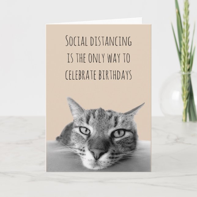 Carte Joyeux Anniversaire Social Distancing Grump Chat (Devant)