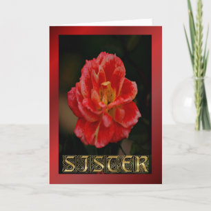 Carte Joyeux anniversaire Soeur rose rouge voeux d'anniv