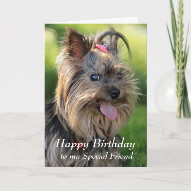 Carte Joyeux Anniversaire Spécial Ami Fun Yorkie Chien (Devant)