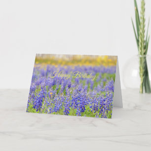 Carte Joyeux anniversaire, Texas Bluebonnet Field