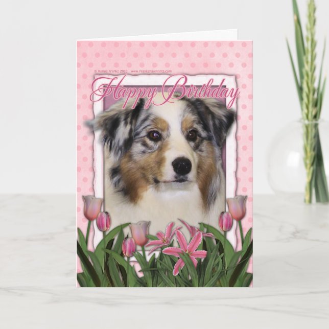 Carte Joyeux anniversaire - Tulipes roses - Berger austr (Devant)