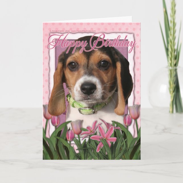 Carte Joyeux anniversaire - Tulipes roses - Chiot Beagle (Devant)
