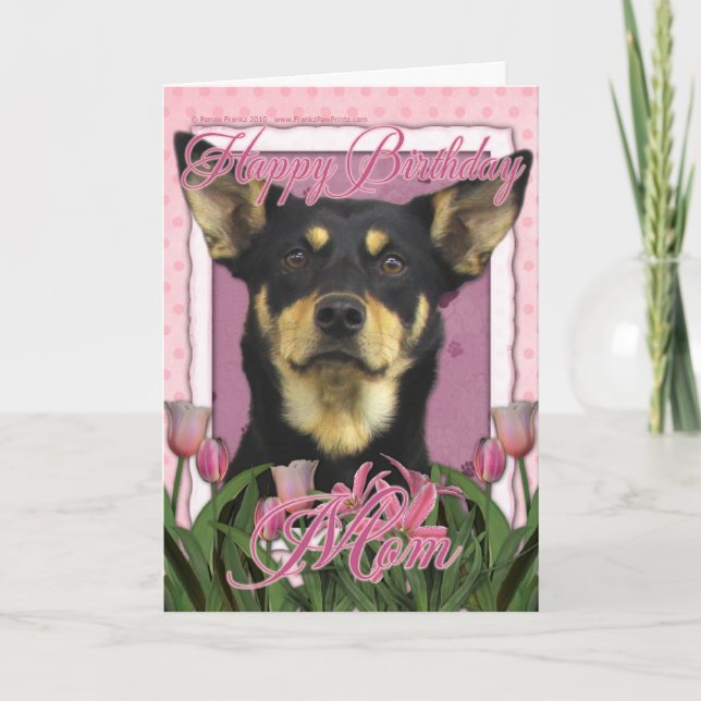 Carte Joyeux anniversaire - Tulipes roses - Kelpie austr (Devant)