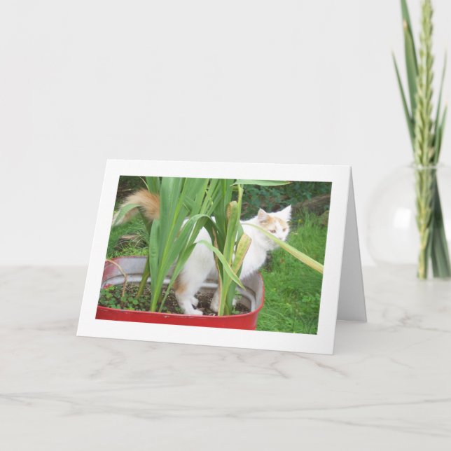 CARTE JOYEUX ANNIVERSAIRE - TURQUE VAN SOUHAITE AMOUREUX (Devant)