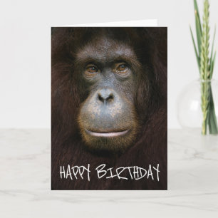 Carte Joyeux Anniversaire   Visage d'Orang-outan