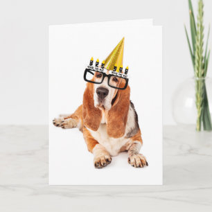 Carte Joyeux anniversaire vous vieux chien