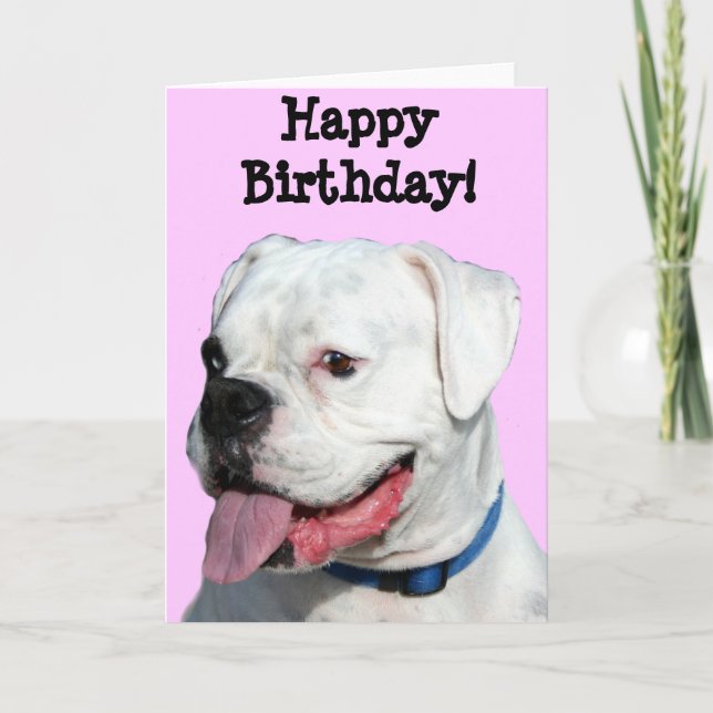 Carte Joyeux anniversaire White Boxer (Devant)
