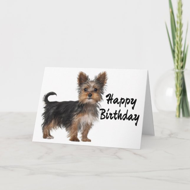 Carte Joyeux anniversaire Yorkshire Terrier Chien chiot (Devant)
