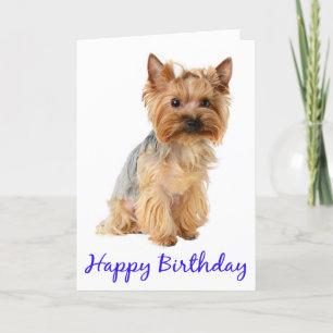 Carte Joyeux Anniversaire Yorkshire Terrier Puppy Dog Ca