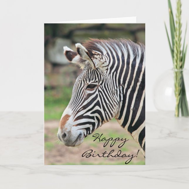 Carte Joyeux anniversaire Zebra animal (Devant)