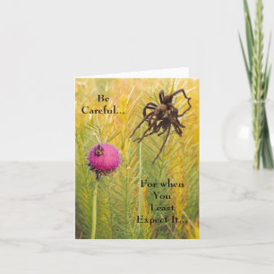 Carte Joyeux Birthday Spider and Bee Warning Card