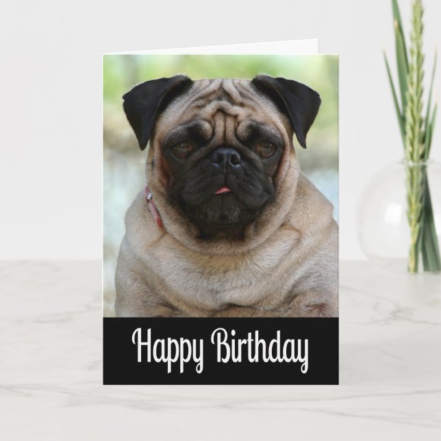 Carte Joyeux Carlin d'anniversaire Chien Chien Chien Chi (Devant)