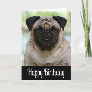 Carte Joyeux Carlin d'anniversaire Chien Chien Chien Chi