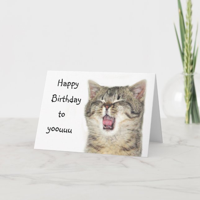 Carte Joyeux chaton d'anniversaire (Devant)