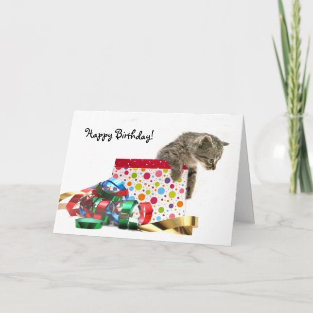 Carte Joyeux chaton d'anniversaire (Devant)