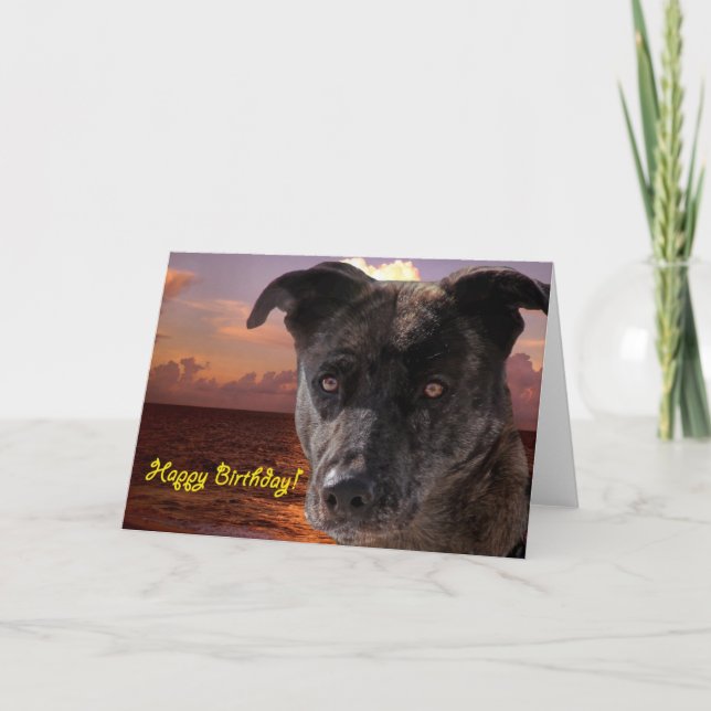 Carte Joyeux chien d'anniversaire (Devant)