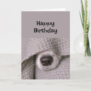 Carte Joyeux chien d'anniversaire sous couverture dans l